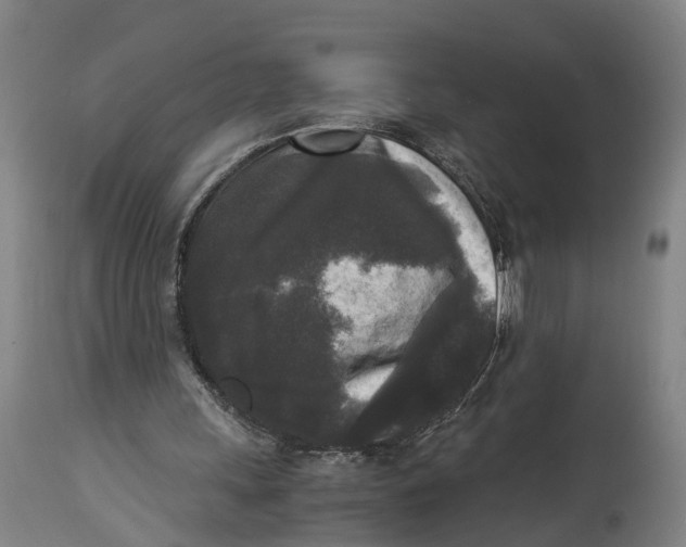 X0000114410243200911131435