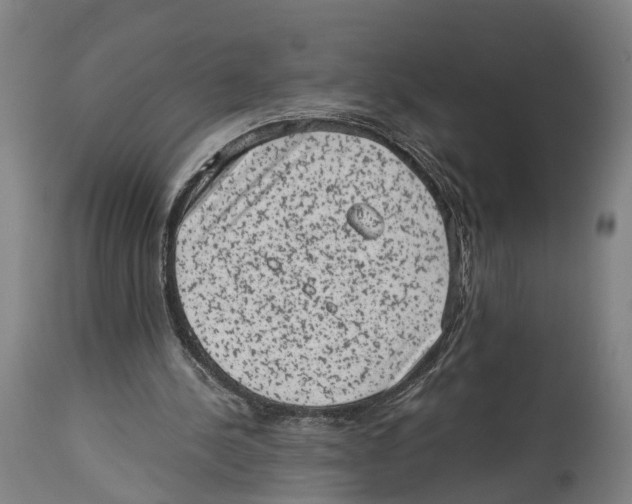 X0000114410244200911131435