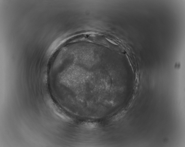 X0000114410247200911131435