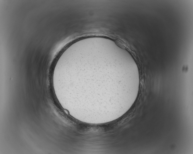 X0000114410248200911131435