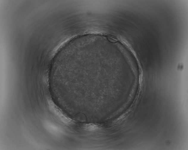 X0000114410249200911131435