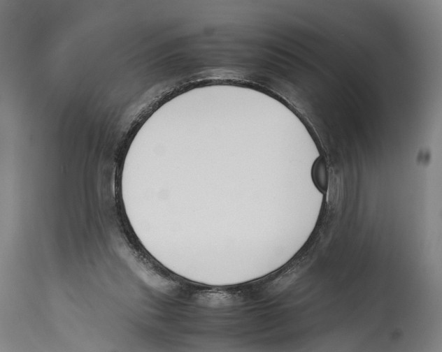 X0000114410253200911131435