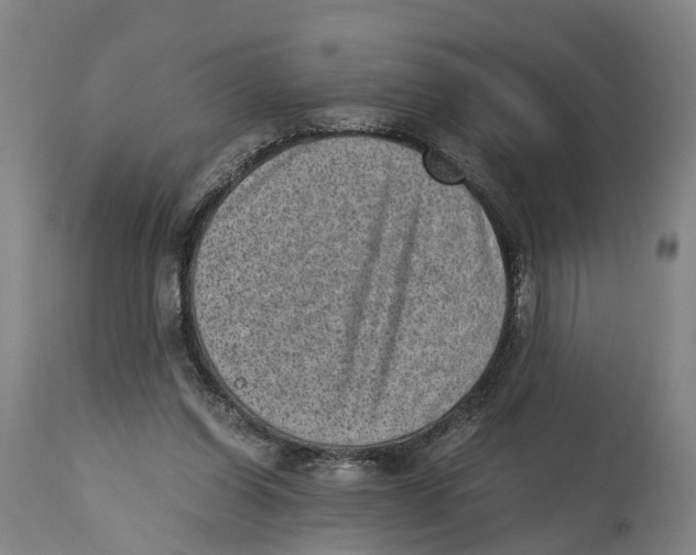 X0000114410254200911131435