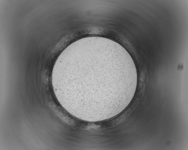 X0000114410257200911131435