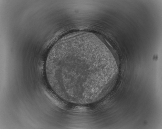 X0000114410260200911131435