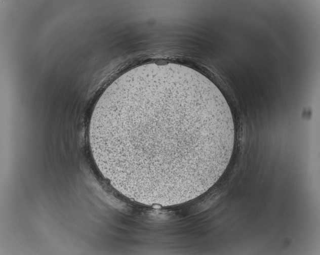 X0000114410261200911131435