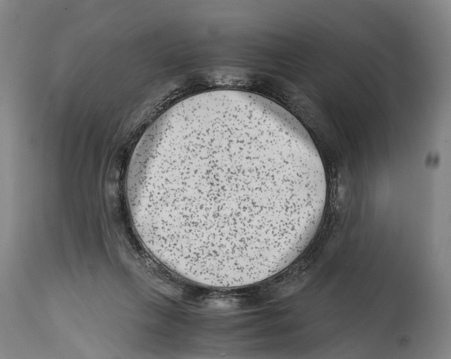 X0000114410263200911131435