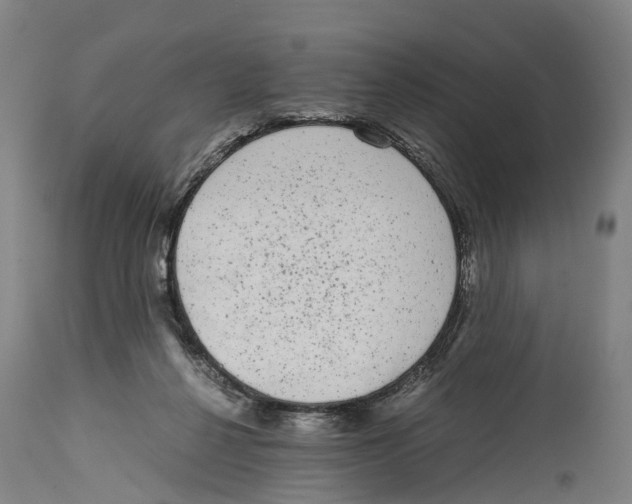 X0000114410264200911131435