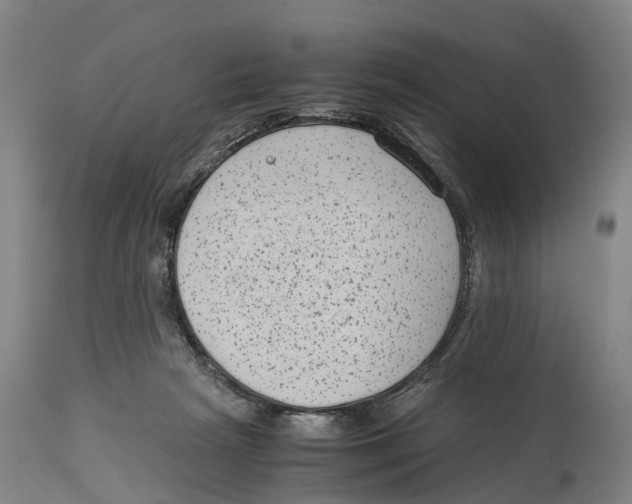 X0000114410265200911131435