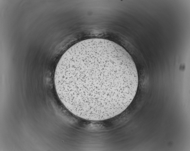 X0000114410270200911131435