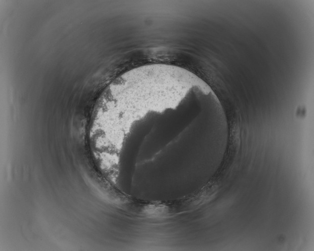 X0000114410271200911131435