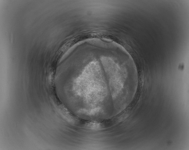 X0000114410276200911131435