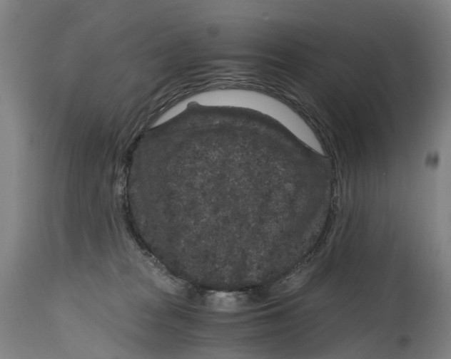 X0000114410277200911131435