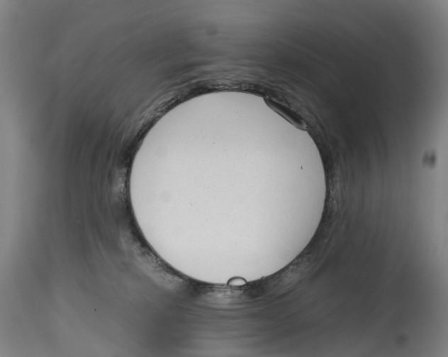 X0000114410278200911131435