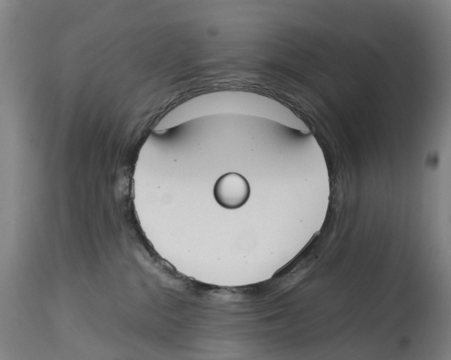 X0000114410284200911131435