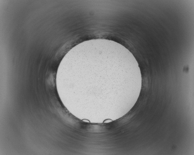 X0000114410286200911131435