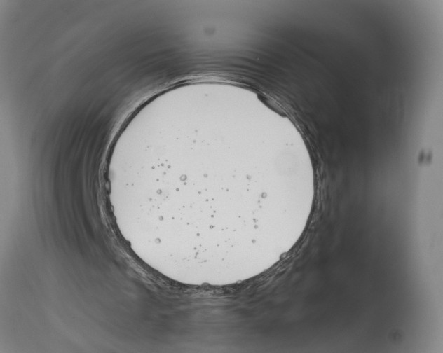 X0000114410289200911131435