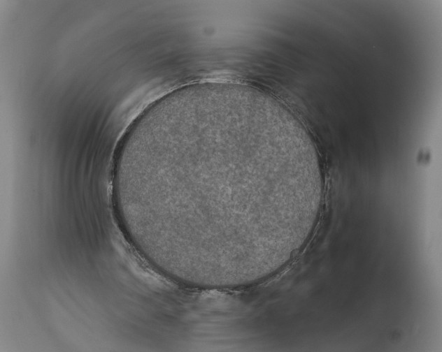 X0000114410290200911131435