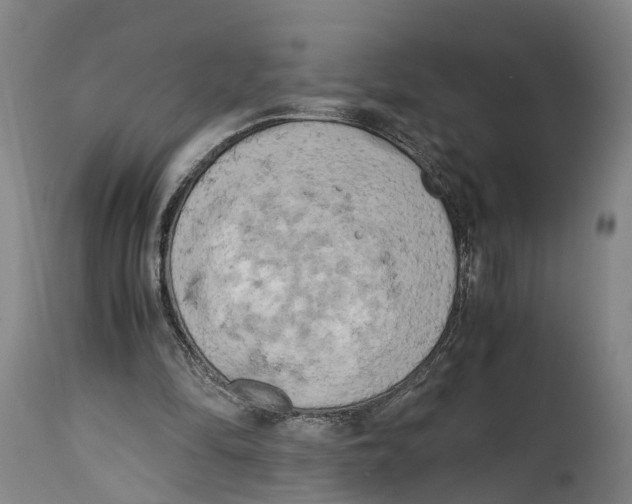 X0000114410294200911131435