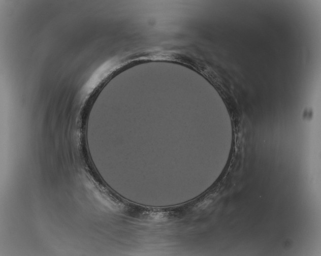 X0000114410295200911131435