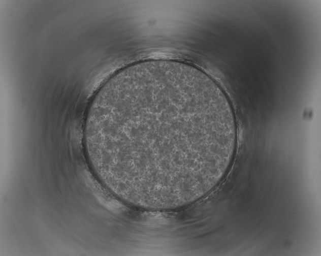 X0000114410297200911131435