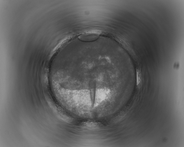 X0000114410300200911131434