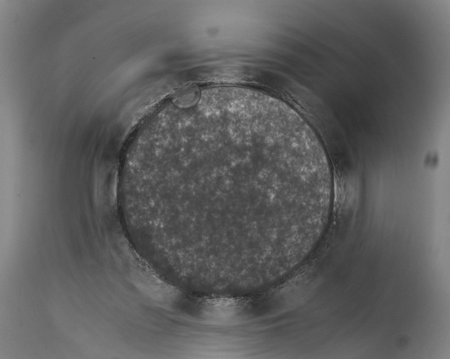 X0000114410301200911131434