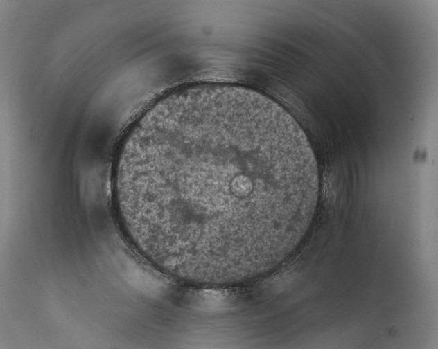 X0000114410302200911131434