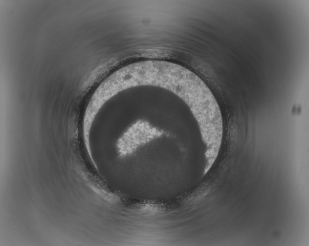 X0000114410303200911131434