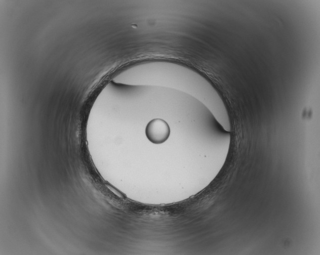 X0000114410304200911131434