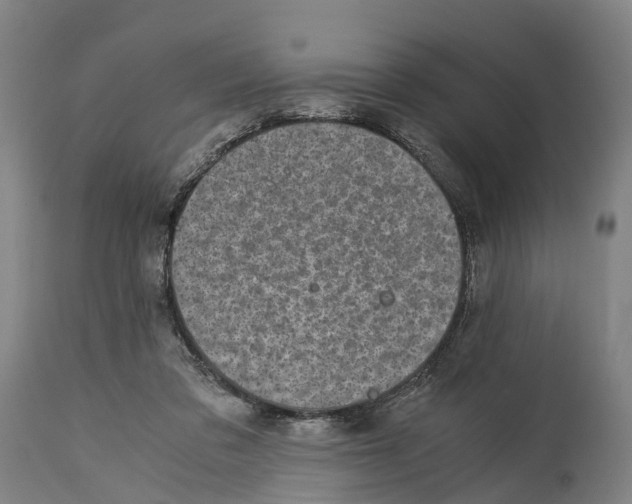 X0000114410309200911131434