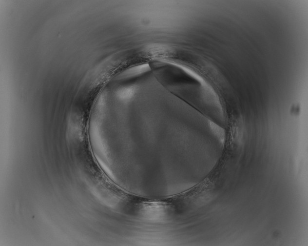 X0000114410316200911131434