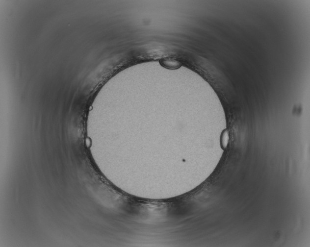 X0000114410317200911131434