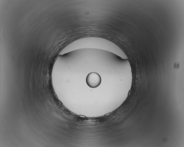 X0000114410320200911131434