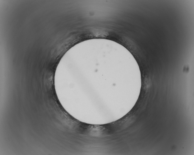 X0000114410321200911131434