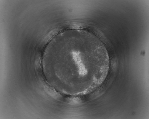 X0000114410322200911131434