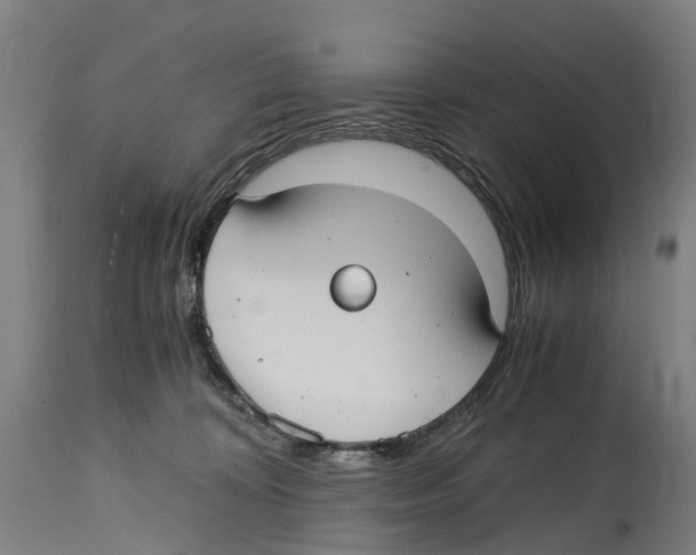 X0000114410324200911131434