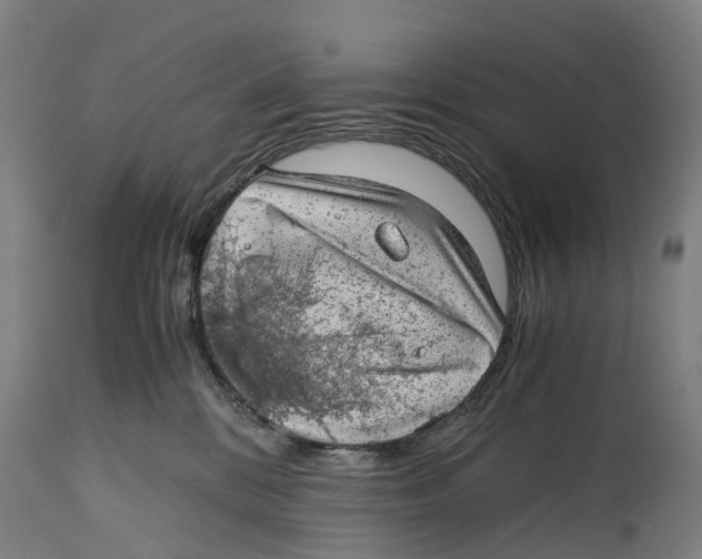 X0000114410328200911131434