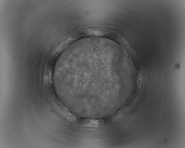 X0000114410330200911131434