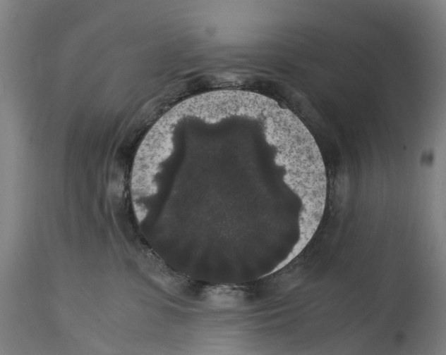 X0000114410331200911131434