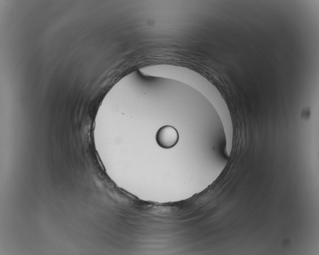 X0000114410332200911131434