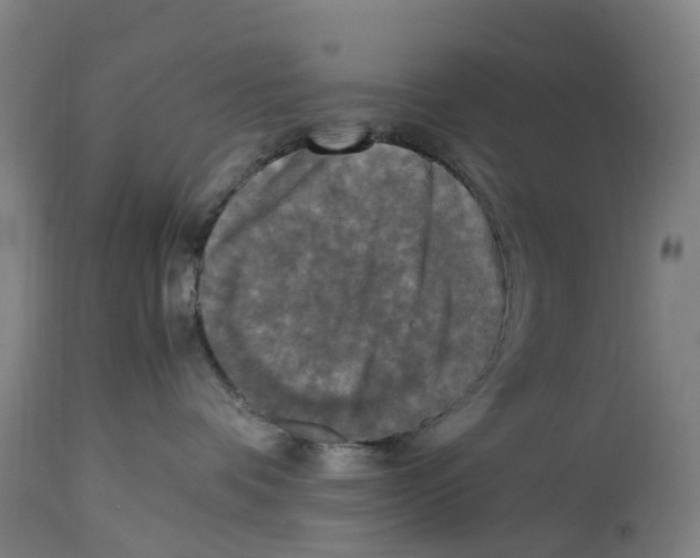 X0000114410336200911131434