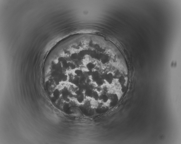 X0000114410337200911131433