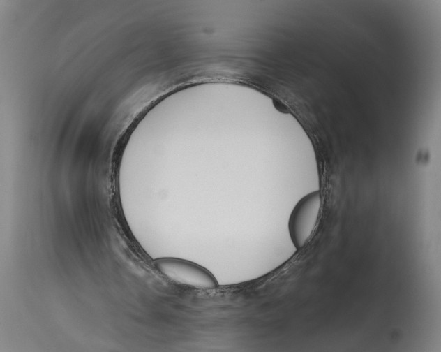 X0000114410338200911131433