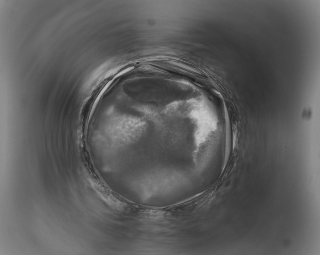 X0000114410339200911131433