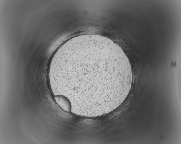 X0000114410341200911131433