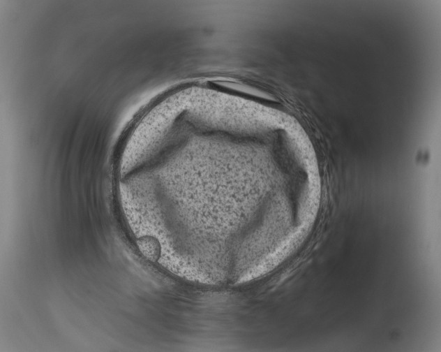 X0000114410342200911131433