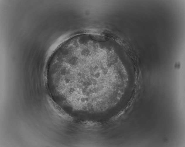 X0000114410343200911131433