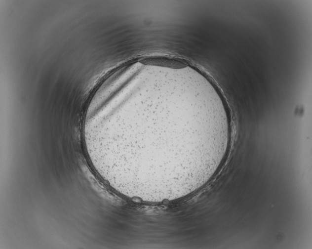 X0000114410345200911131433