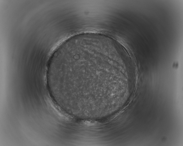 X0000114410346200911131433